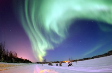 The Aurora
