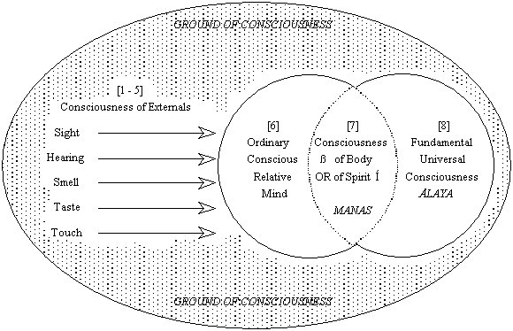 Consciousness